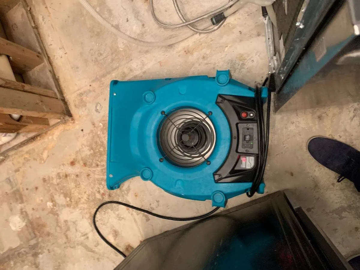 Air mover drying equipment for Mold Remediation & Removal in Stonington